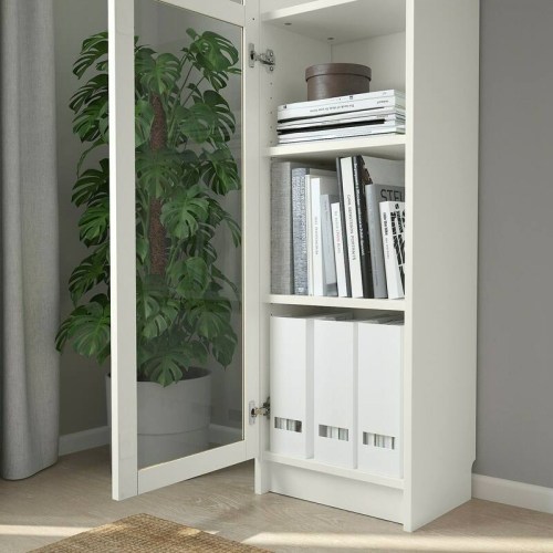 Billy cabinet 2024 with glass doors